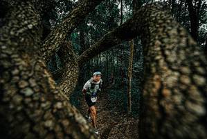 BIB: 
                            <button type="button" onclick="openModal(25672946)" class="btn btn-primary btn-sm float-right btn-popup" data-toggle="modal" data-target=".modal-high-quality">
                        <i class="fas fa-shopping-cart"></i> Add to Cart
                    </button>
                                            <button type="button" onclick="isThisMe(25672946, true)" class="btn btn-success btn-sm float-right btn-popup btn-isme hidden" data-toggle="tooltip" data-placement="bottom" title="นี่คือรูปของคุณใช่ไหม คลิกที่นี่เพื่อเอาเข้าอัลบั้ม">
                        <i class="fas fa-plus"></i> Add to album
                    </button>
                    <button type="button" onclick="isThisMe(25672946, false)" class="btn btn-warning btn-sm float-right btn-popup btn-isnotme hidden">
                        <i class="fas fa-ban"></i> Remove from album
                    </button>